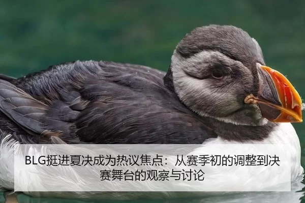 BLG挺进夏决成为热议焦点：从赛季初的调整到决赛舞台的观察与讨论